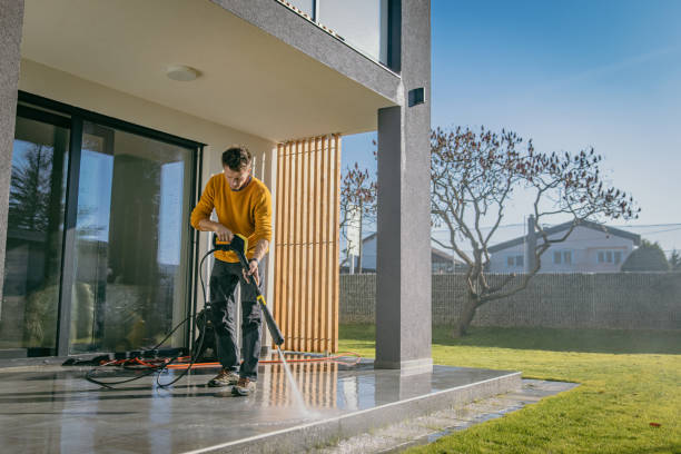 Best Driveway Pressure Washing  in Clermont, FL